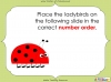Counting Spots - EYFS (slide 24/28)